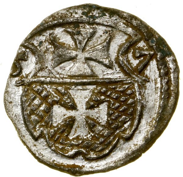 Denar, 1557, Elbląg