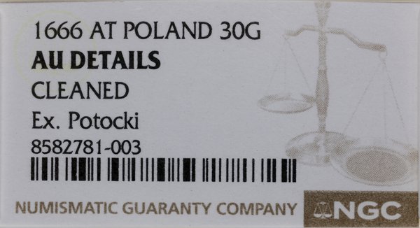 Tymf (złotówka), 1666 AT, Bydgoszcz