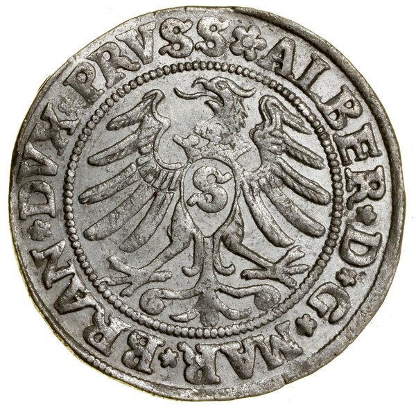 Grosz, 1531, Królewiec