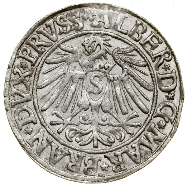 Grosz, 1538, Królewiec