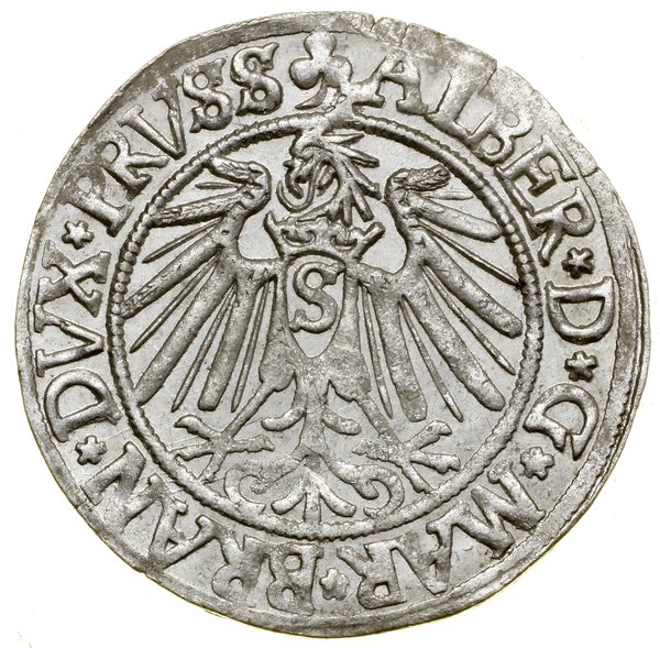 Grosz, 1541, Królewiec
