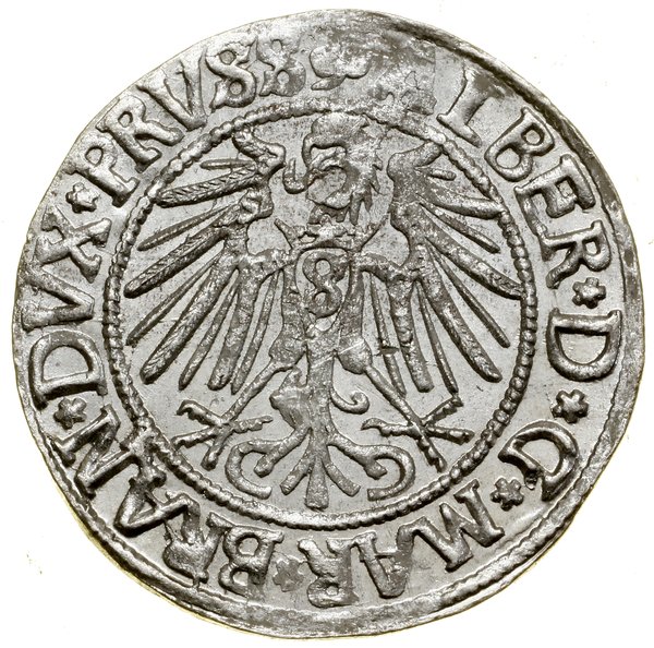 Grosz 1542, Królewiec