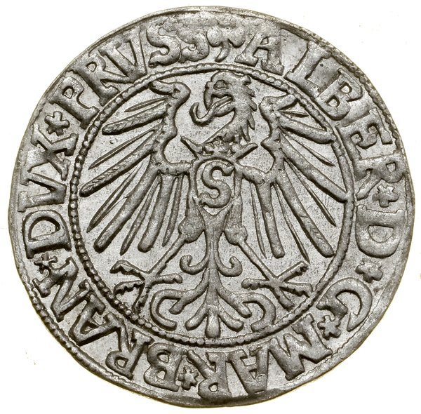 Grosz, 1546, Królewiec