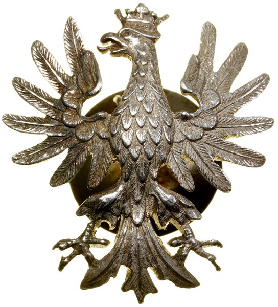 Orzeł Wojska Polskiego na Wschodzie, Piotrogród