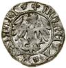 Półgrosz koronny, bez daty, Kraków; Aw: Orzeł, MONETA (rozeta) KAZIMIRI (rozeta); Rw: Korona, niże..