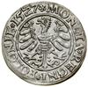 Grosz, 1527, Kraków; na awersie korona renesansowa, w legendzie rewersu MONETΛ; Białk.-Szw. 27, Ko..