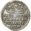 Grosz, 1529, Kraków; herb Odrowąż między rozetkami; Białk.-Szw. 31, Kop. 421, Kurp. (1506–1573) 49..