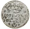 Grosz, 1546, Kraków; rozetki po bokach korony, po bokach herbu Leliwa litery S - T, w legendzie re..