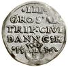 Trojak, 1536, Gdańsk; odmiana z węższym popiersiem władcy, w legendzie awersu TO PRVSS, w legendzi..