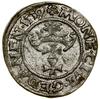 Szeląg, 1539, Gdańsk; data zapisana małymi cyframi, w legendzie awersu POLO, rozeta jako znak inic..