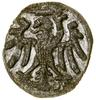 Denar, bez daty, Elbląg; Białk.-Szw. 243, CNCE 81, Kop. 7070 (R2), Kurp. (1506–73) 551 (R3), Pfau ..