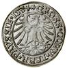 Grosz, 1534, Toruń; popiersie władcy w czepcu i koronie, końcówki legend PRVSSIE / PRVSSIE; Białk...