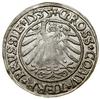 Grosz, 1535, Toruń; końcówki legend PRVSSIE / PRVSSIE; Białk.-Szw. 95, CNCT 1279, Kop. 3091, Kurp...