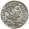 Grosz na stopę polską, 1548, Wilno; końcówki legend L / LITVA; Białk.-Szw. 336 (R), Cesnulis-Ivana..
