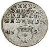 Trojak, 1557, Gdańsk; odmiana z popiersiem króla w obwódce, na końcu legendy awersu +; CNG –, Iger..