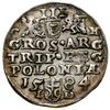 Trojak, 1584, Olkusz; głowa króla dzieli legendę u góry, inicjały G - H (mincerz Georg Hose) przy ..