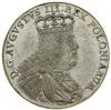 Tymf, 1753, Lipsk; typ portretowy „zadarty nos”, przekrój ramienia osełkowaty, skośnie żeberkowany..