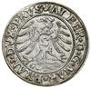 Grosz, 1531, Królewiec; końcówka legendy PRVS; Kop. 3773 (R1), Slg. Marienburg 1132, Vossberg 1322..
