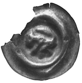 brakteat (2. poł. XIII w.): Wiewiórka, Fbg 668, jeden z ciekawszych szerokich brakteatów śląskich