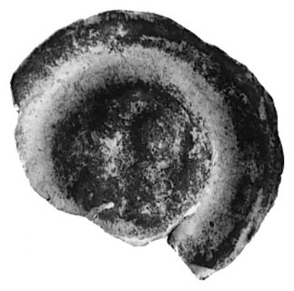 Dolny Śląsk, brakteat szeroki (2. poł. XIII w.), Fbg 805, 23.0 mm, 0.37 g., egz. wyszczerbiony i niewyraźny