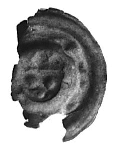 Dolny Śląsk, obol brakteatowy (2. poł. XIII w.), Fbg 548 (ilustrowany omyłkowo pod nr 549), obłamany