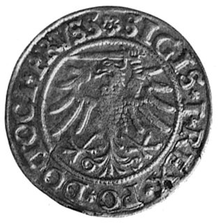 grosz 1533, Elbląg, Aw: Orzeł i napis, Rw: Herb 