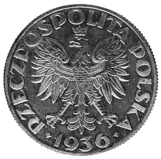 5 złotych 1936 Żaglowiec z napisem wypukłym PRÓBA, srebro 28.2 mm, 11,04 g., wybito 110 sztuk