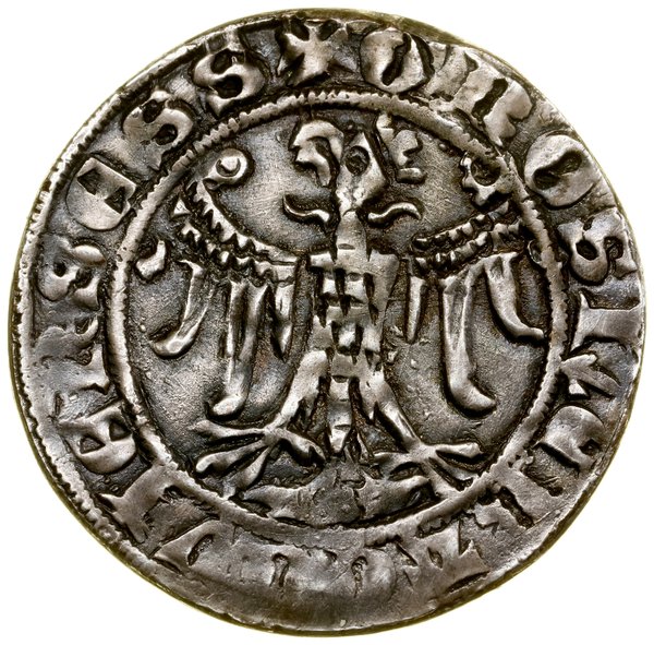 Grosz szeroki (KOPIA)