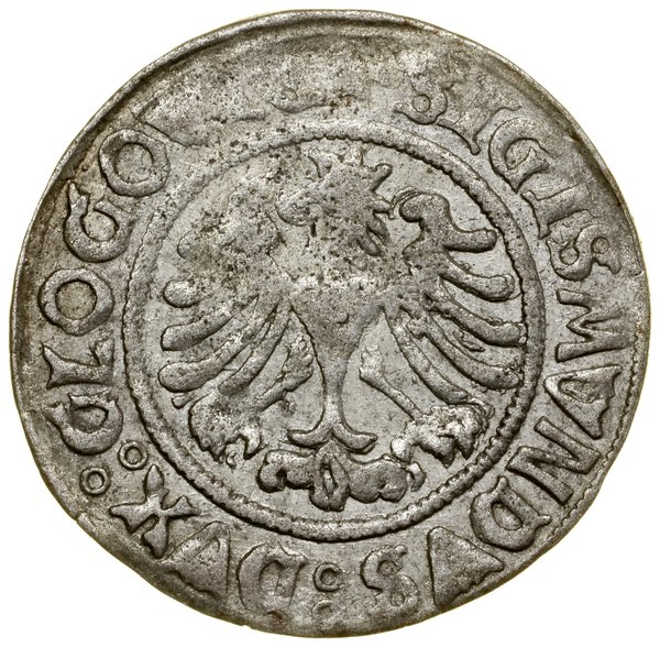 Grosz, 1506, Głogów