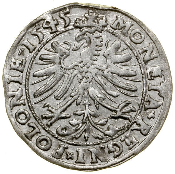 Grosz, 1545, Kraków