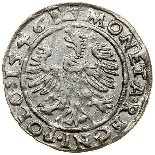 Grosz, 1546, Kraków
