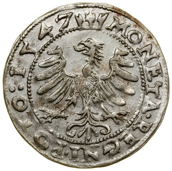 Grosz, 1547, Kraków