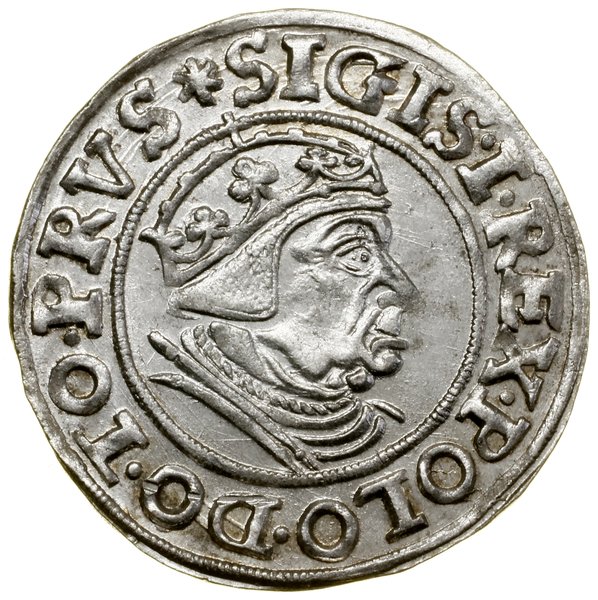 Grosz, 1539, Gdańsk