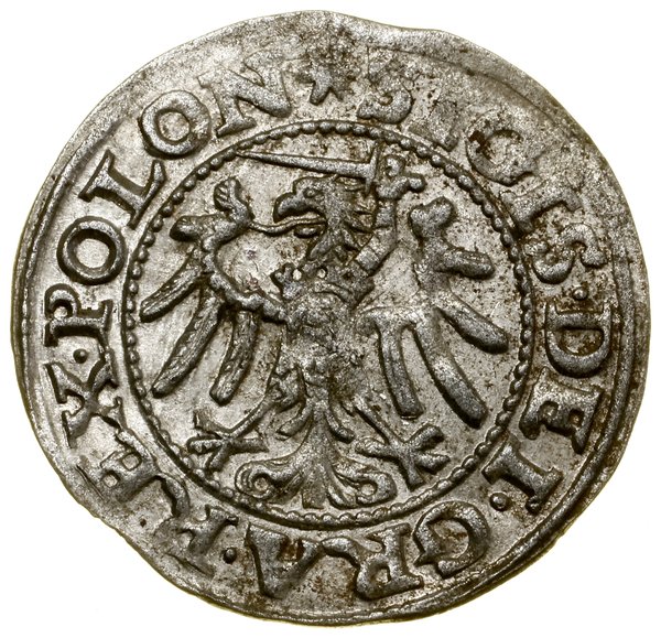 Szeląg, 1546, Gdańsk