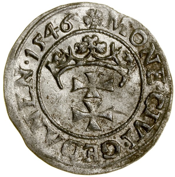 Szeląg, 1546, Gdańsk