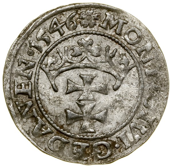 Szeląg, 1546, Gdańsk