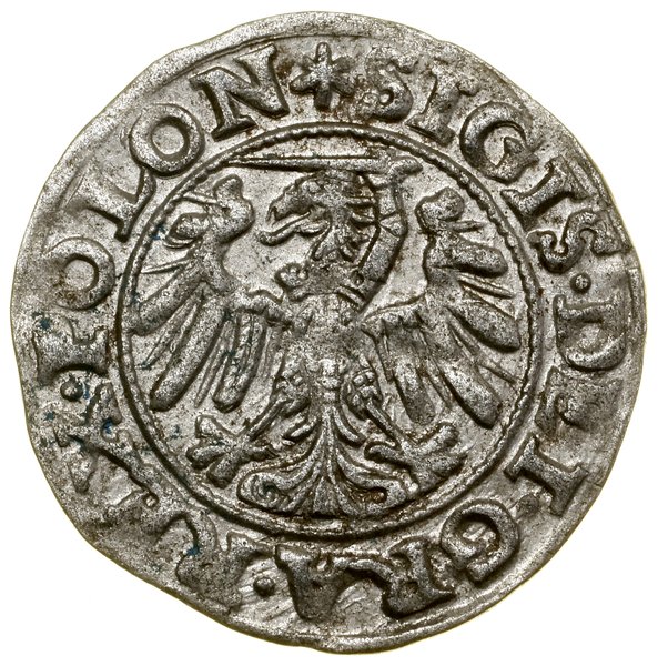 Szeląg,1546, Gdańsk