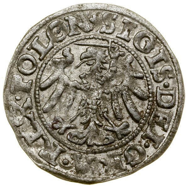 Szeląg, 1547, Gdańsk