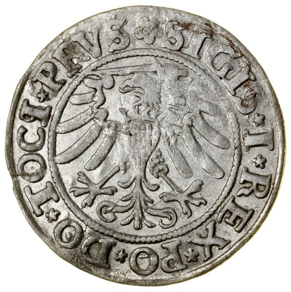 Grosz, 1533, Elbląg