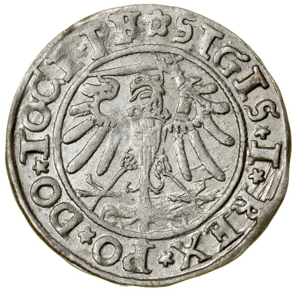 Grosz, 1534, Elbląg