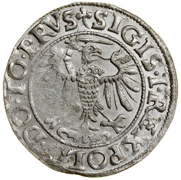 Grosz, 1539, Elbląg