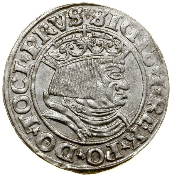 Grosz, 1531, Toruń