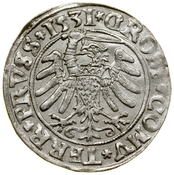 Grosz, 1531, Toruń