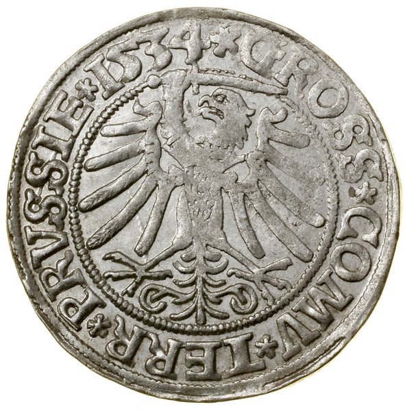 Grosz, 1534, Toruń