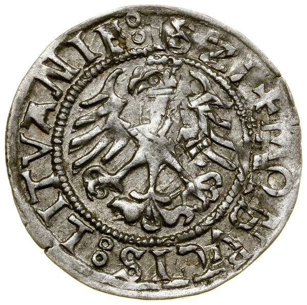Półgrosz, 1521, Wilno