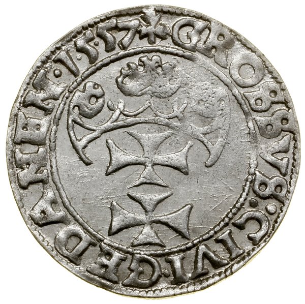 Grosz, 1557, Gdańsk