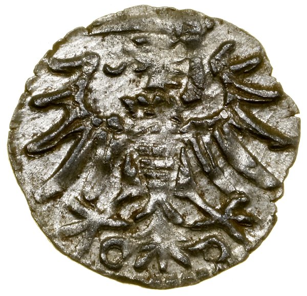 Denar, 1550, Gdańsk