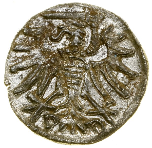 Denar, 1552, Gdańsk