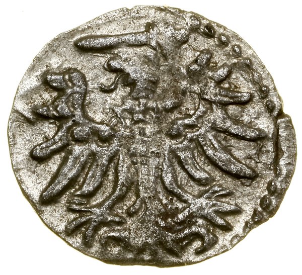Denar, 1554, Gdańsk