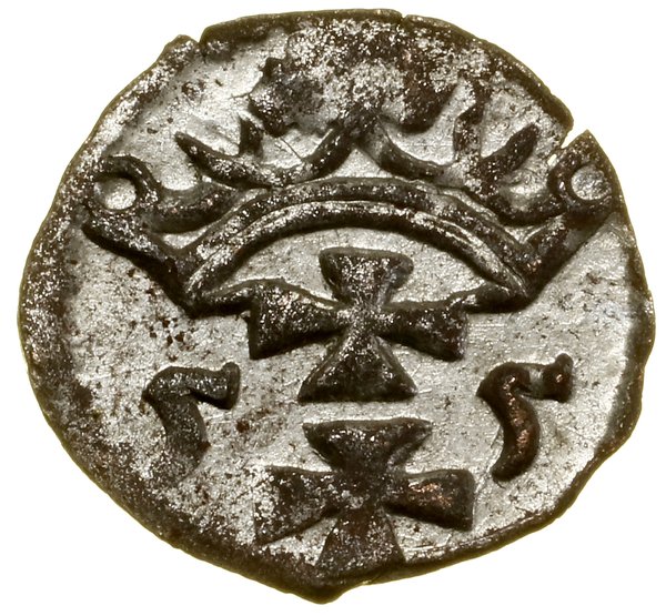 Denar, 1555, Gdańsk